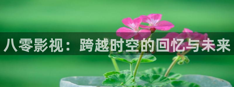 被窝电视剧免费观看